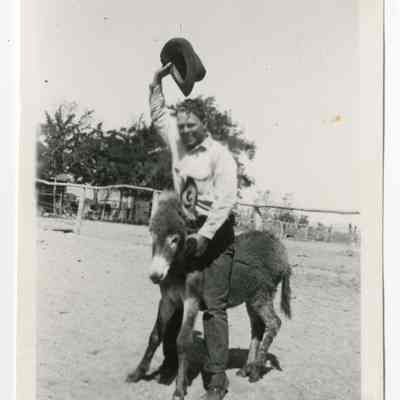 Print, Photographic