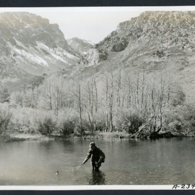 Print, Photographic
