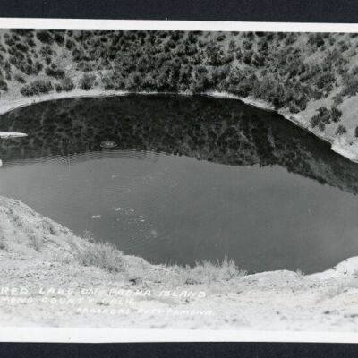 Print, Photographic