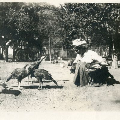 Print, Photographic