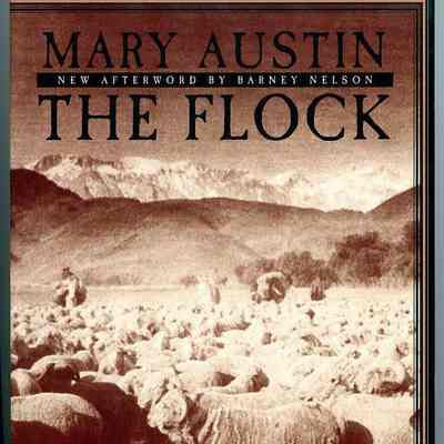 Flock