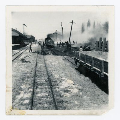 Print, Photographic