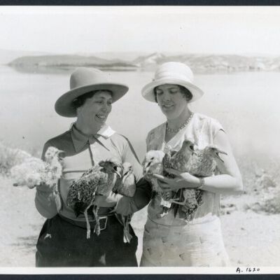 Print, Photographic