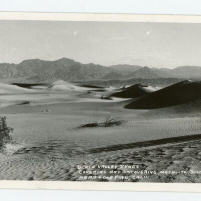 Death Valley Dunes Covering and Uncovering Mesquite Bushes near Lone Pine, Calif.