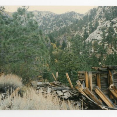 Print, Photographic