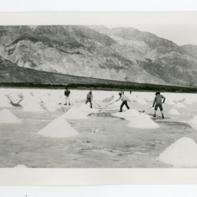 Print, Photographic