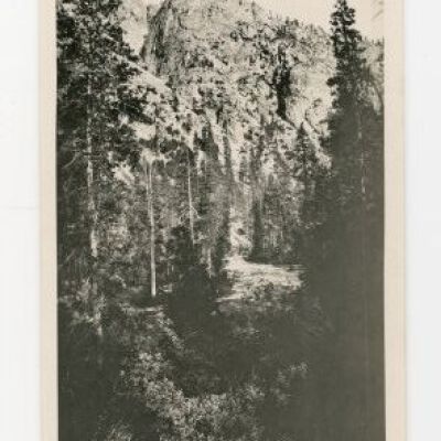 Print, Photographic