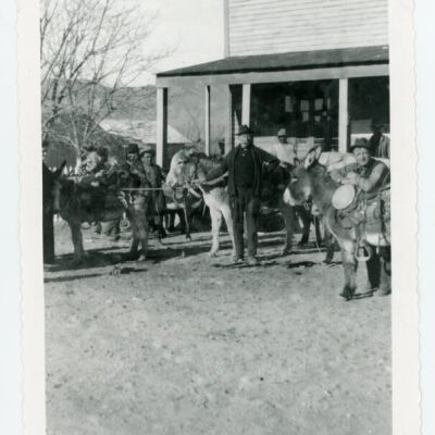 Print, Photographic