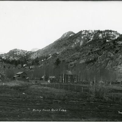 Bishop Creek Gold Co.