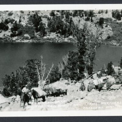 Print, Photographic