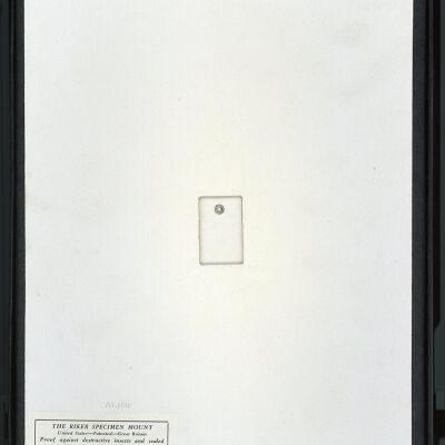 Resolution: 100 dpi