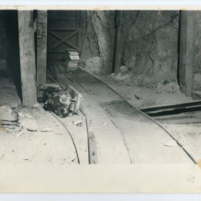 Print, Photographic