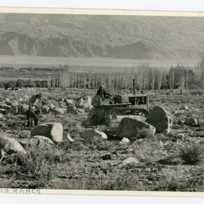 Print, Photographic