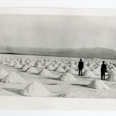 Print, Photographic