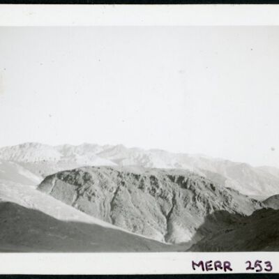 Print, Photographic