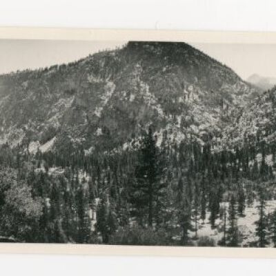Print, Photographic