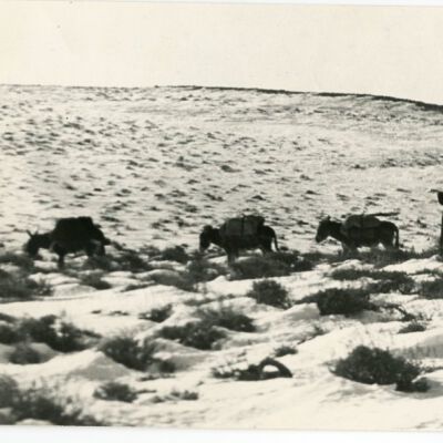 Packing into Beveridge Mining District