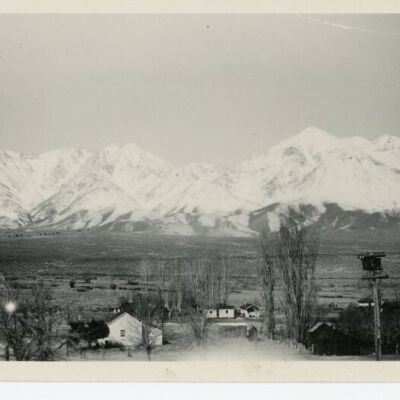 Print, Photographic