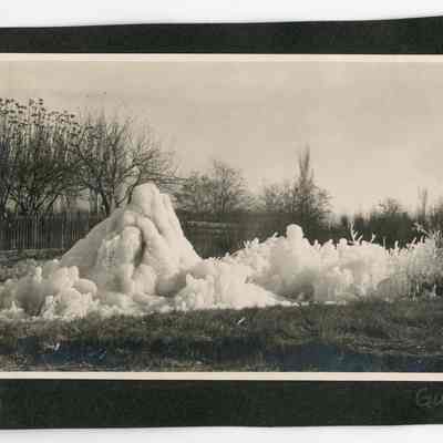 Print, Photographic