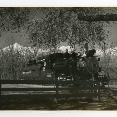 Print, Photographic