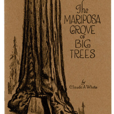 Mariposa Grove of Big Trees