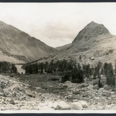 Print, Photographic