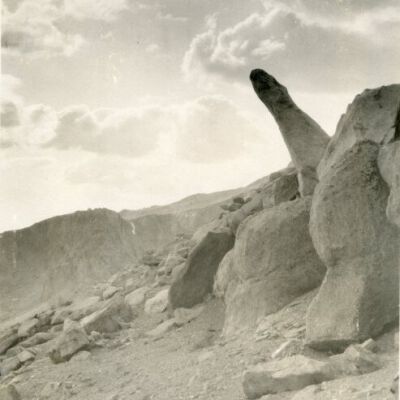 Print, Photographic
