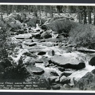 Print, Photographic