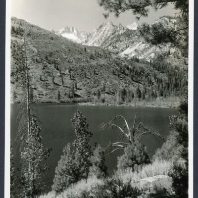 Print, Photographic