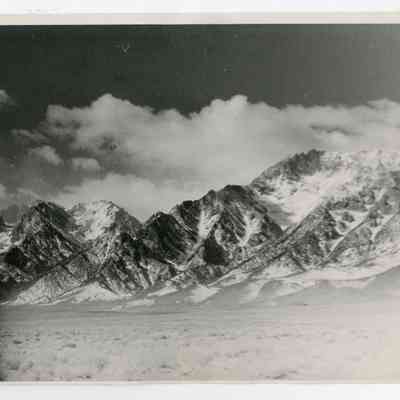 Print, Photographic