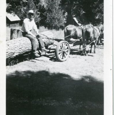Print, Photographic