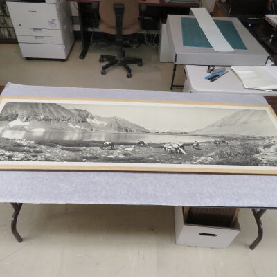 Print, Photographic