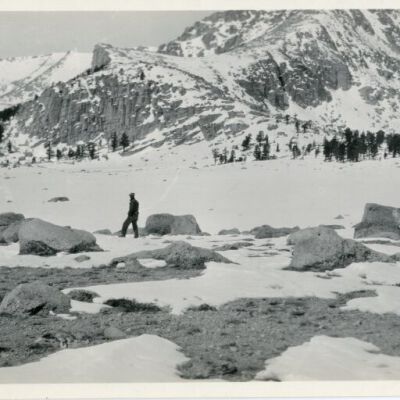 Print, Photographic