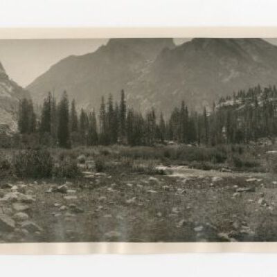 Print, Photographic