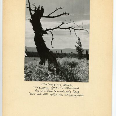 Print, Photographic