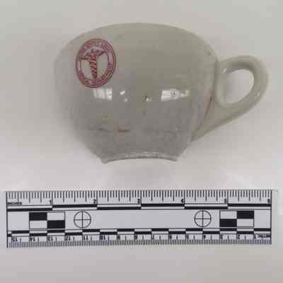 Cup