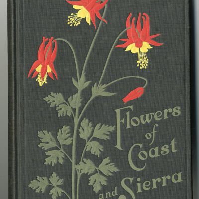 Flowers of Coast and Sierra