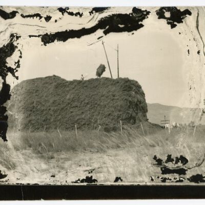Print, Photographic