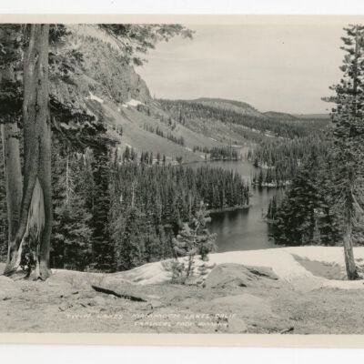 Print, Photographic