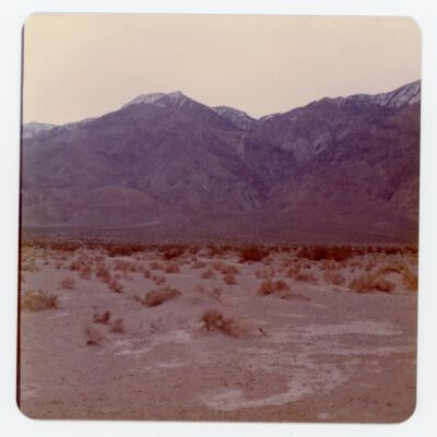 Print, Photographic