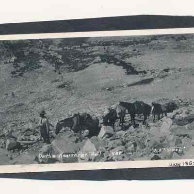 On the Kearsarge Trail