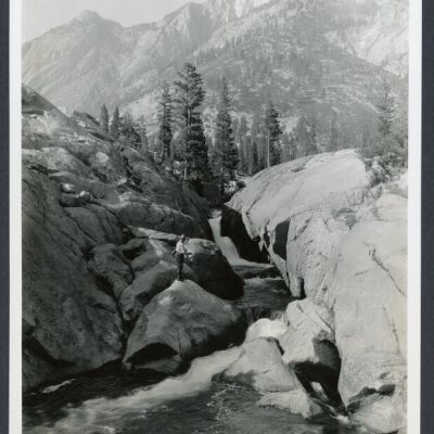 Print, Photographic