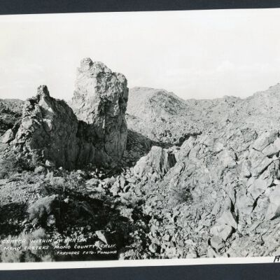 Print, Photographic