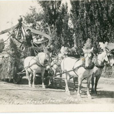 Print, Photographic