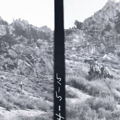Negative