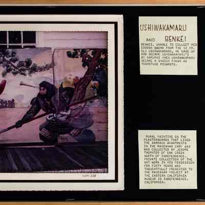 Panel, Display