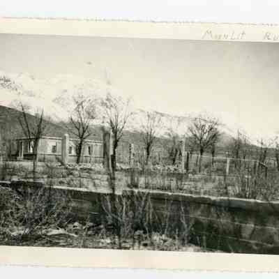 Print, Photographic
