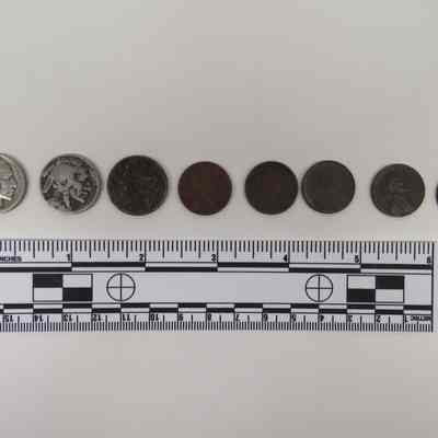 Coin