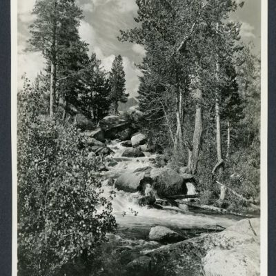 Print, Photographic