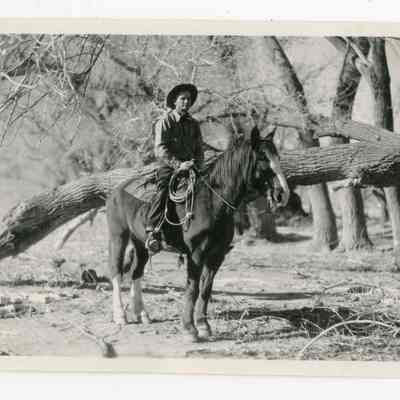 Print, Photographic